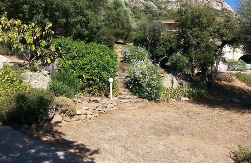 Lumio Apartamento | Studio au Calme vue sur la Baie de Calvi, Dans une Ancienne Oliveraie