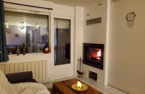 Les Carroz-d'Araches Apartamento | Studio avec petit balcon et cheminée - Grand Massif