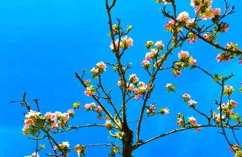 Elbeuf Apartamento | Studio avec terrasse