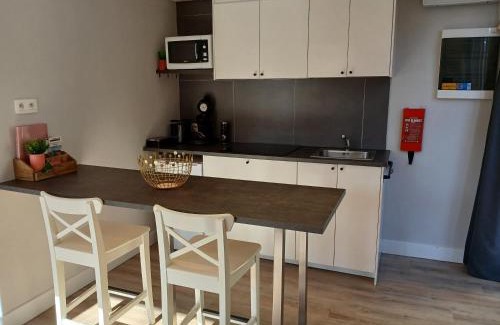 Vielsalm Apartamento | Studio "Coeur du Lac"