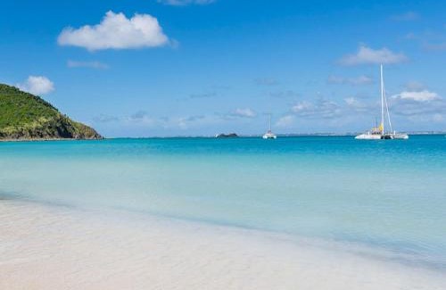 Anse Marcel Apartamento | Studio cosy à Anse Marcel avec terrasse et climatisation - FR-1-734-47