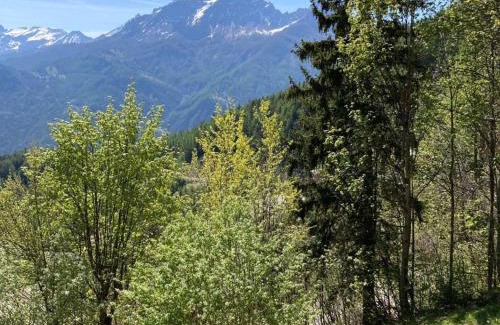 Pra Loup Apartamento | Studio cosy au pied des pistes, pour 6 pers., à Pra Loup 1600 - Immeuble Chaumont II - FR-1-165A-5