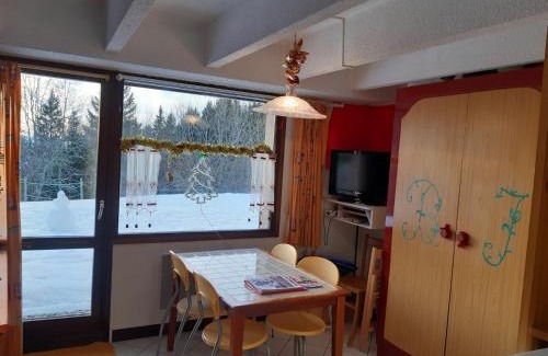 Chamrousse Apartamento | Studio cosy avec terrasse, proche des pistes - Chamrousse - FR-1-340-223