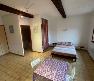 Ceret Apartamento | Studio des fleurs