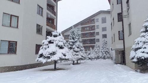 Shiligarnika Apartamento | Studio Detelina Residence