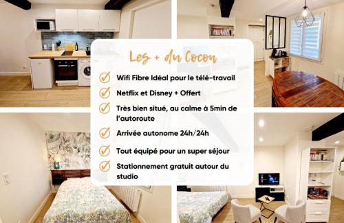 Cailloux-sur-Fontaines Apartamento | Studio fonctionnel avec Wi-Fi idéal séjour Pro ou à deux
