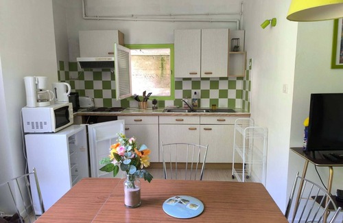 Les Bains de la Preste Apartamento | Studio perched in the flora of the High Vallespir