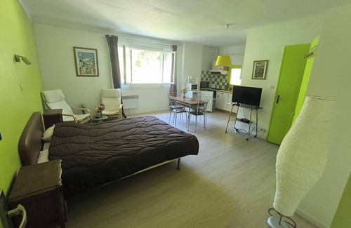 Les Bains de la Preste Apartamento | Studio perched in the flora of the High Vallespir