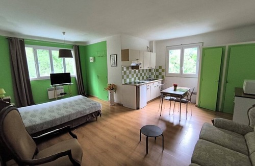Prats-de-Mollo-la-Preste Apartamento | Studio n°3