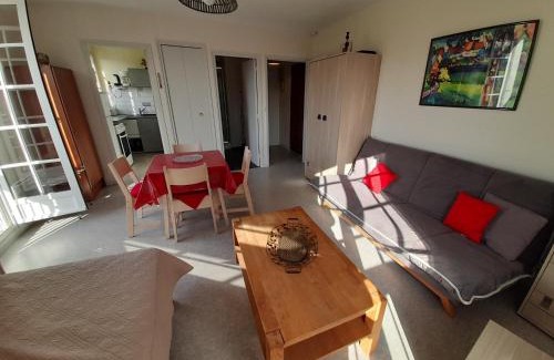 La Roche-Posay Apartamento | Studio lumineux centre-ville La Roche-Posay avec WI-FI, lave-linge, lave-vaisselle, animaux admis - FR-1-541-131