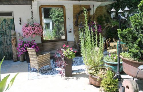 Olliergues Apartamento | Studio Malou, cuisine, salle d'eau, terrasse amenagée