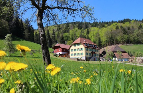 Schuttertal Apartamento | Studio 'Marlena' with Wi-Fi