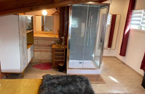 Marssac-sur-Tarn Apartamento | Studio meuble