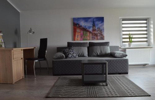 Nowe Miasto Apartamento | Studio nad Jeziorem