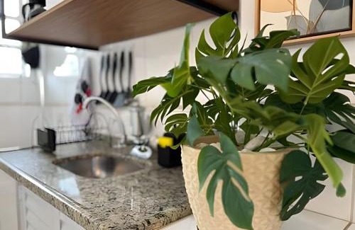 Gonzaga Apartamento | Studio no Coração do Gonzaga beira mar