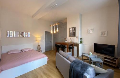 Saint-Omer Apartamento | Studio Papillon en plein cœur de ville