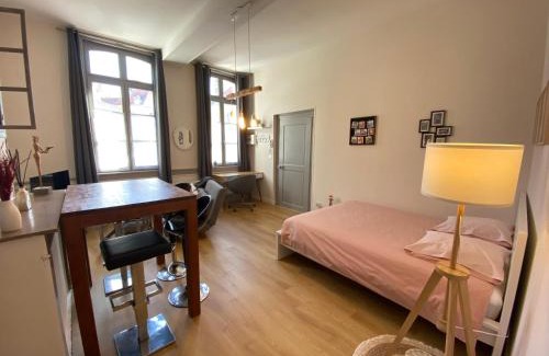 Saint-Omer Apartamento | Studio Papillon en plein cœur de ville