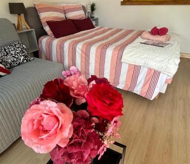 Francueil Casa | Studio proche Beauval et Châteaux de la Loire