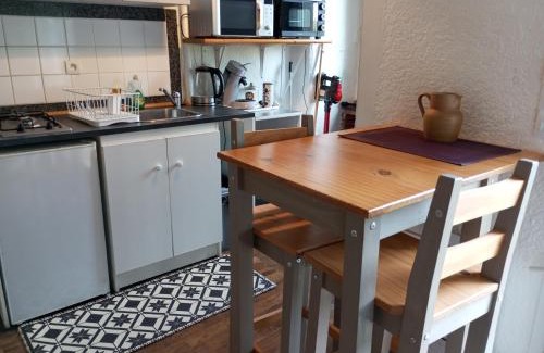 Vitre Apartamento | STUDIO RDC au pied du château et balcon sur la vilaine