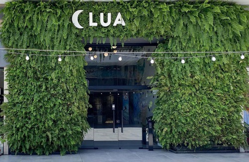 Campeche Casa | Studio Shopping OKA Floripa - SOK232