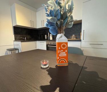 Geidorf Apartamento | Studio University