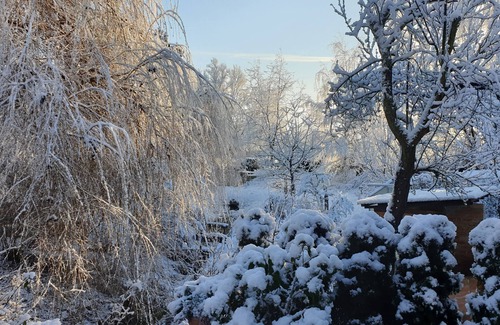Bad Liebenwerda Apartamento | Estudio-Terraza-Baño privado-Einzelbetten