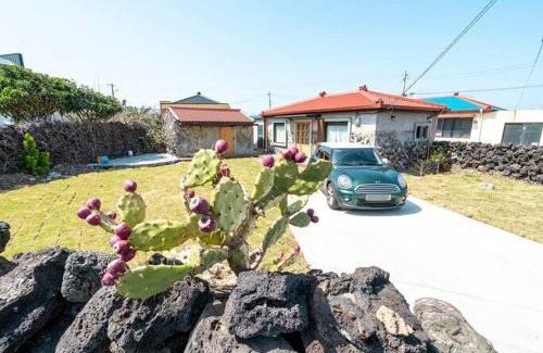 Hallim Casa | Studio Wolyoung