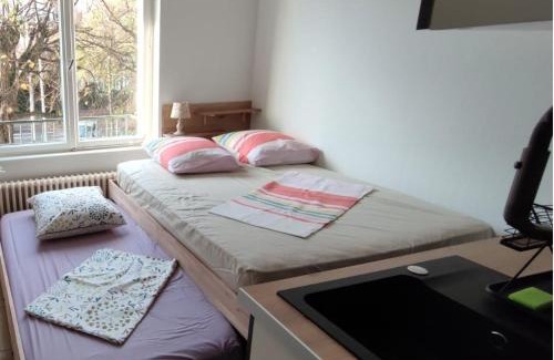 Orangerie Apartamento | Studios Immostrasbourg - hébergements de tourisme classés proche centre et Conseil d'Europe