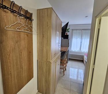Orangerie Apartamento | Studios Immostrasbourg - hébergements de tourisme classés proche centre et Conseil d'Europe