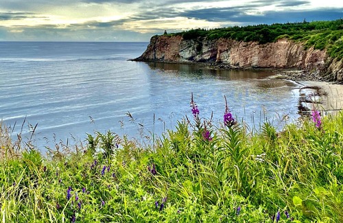 Le Rocher-Perce Regional County Municipality Casa | Stunning Oceanfront Cottage