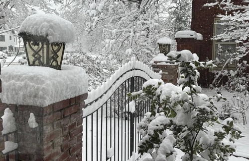 Memphis Casa | Stunning 3 bed, 3 bath house [sleeps 8] in Midtown, 2min drive to Rhodes College