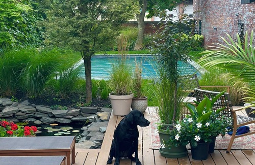 Albany Apartamento | Stunning Bungalo-style Loft in Albany's Warehouse District!