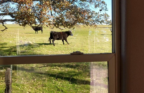 Valley Springs Casa | Stunning Countryside Retreat