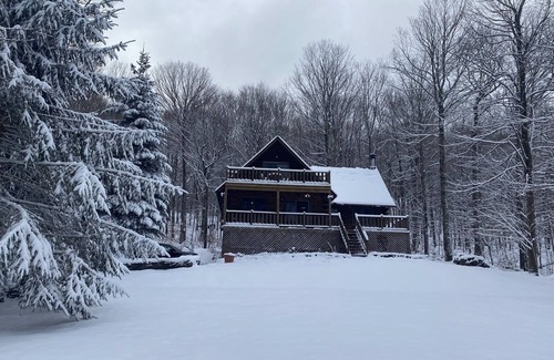 Roscoe Cabina | Stunning Log Cabin Lakehouse with/fireplace - steps from lake!