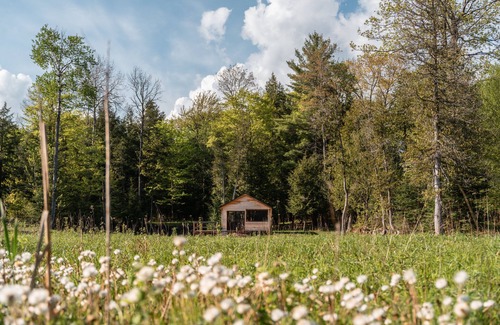 Bobcaygeon Cabaña | Stunning Private Resort on 15 Acres w/ Cabin - Hot Tub, Paddle Boards, Fire Pit