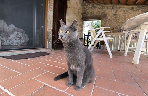 Massa Marittima Casa | Estupenda casa de vacaciones privada con WIFI, TV, patio, mascotas permitida y vista panorámica