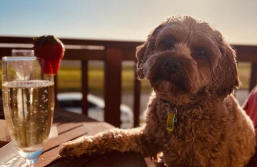 Kilcunda Casa | Stunning Waterfront only 10 minutes to Phillip Island - FREE EV UNIT 7kW for electric cars - pet friendly, fireplace FREE WIFI wine & chocolates