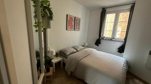 Brederode Apartamento | Stylish Antwerp Flat 15 Min Walk to Het Zuid