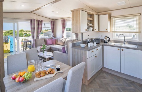 Holywell Casa | Stylish Comfort 3 (Pet)