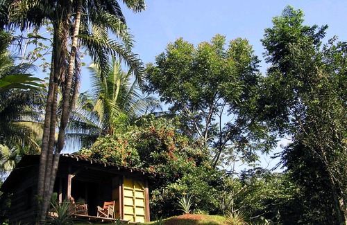 Rincón Cabina | Suital Lodge