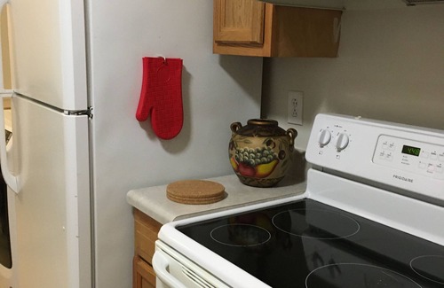 Biddleville Apartamento | Mentas de la zona alta de Charlotte