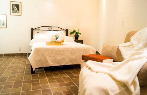 Campestre Apartamento | Suite 5B, Cultura, Garden House, Welcome to San Angel