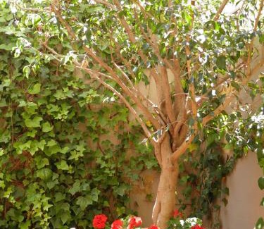 Sant Gervasi — la Bonanova Apartamento | Suitur Courtyard Apartment