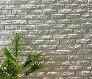 Zhiben Casa | Summer Grass B&B 台東縣民宿1729號