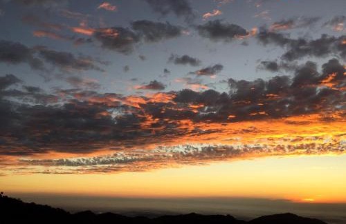 Dharampur Hotel | Summer Pine Dharampur Kasauli l Holidays Vataion