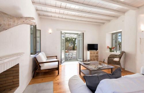 Drios Villa | Sun Drop I with private pool Drios beach Paros