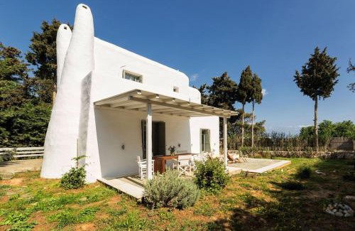 Drios Casa | Sun Drop II with garden - Drios beach Paros