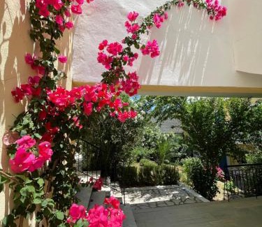 Kassiopi Apartamento | Sunflower Apartments & Studios