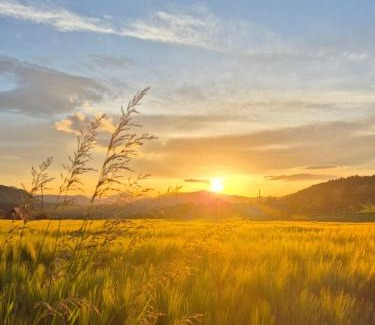 Zlatibor Casa | Sunflower House Radoinja