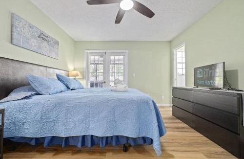 Palm Harbor Casa | Sunshine and Serenity